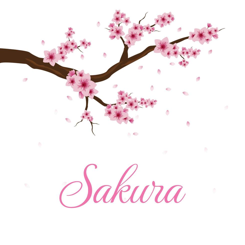 cherry blossoms and twigs background. fallen cherry blossom tree vector