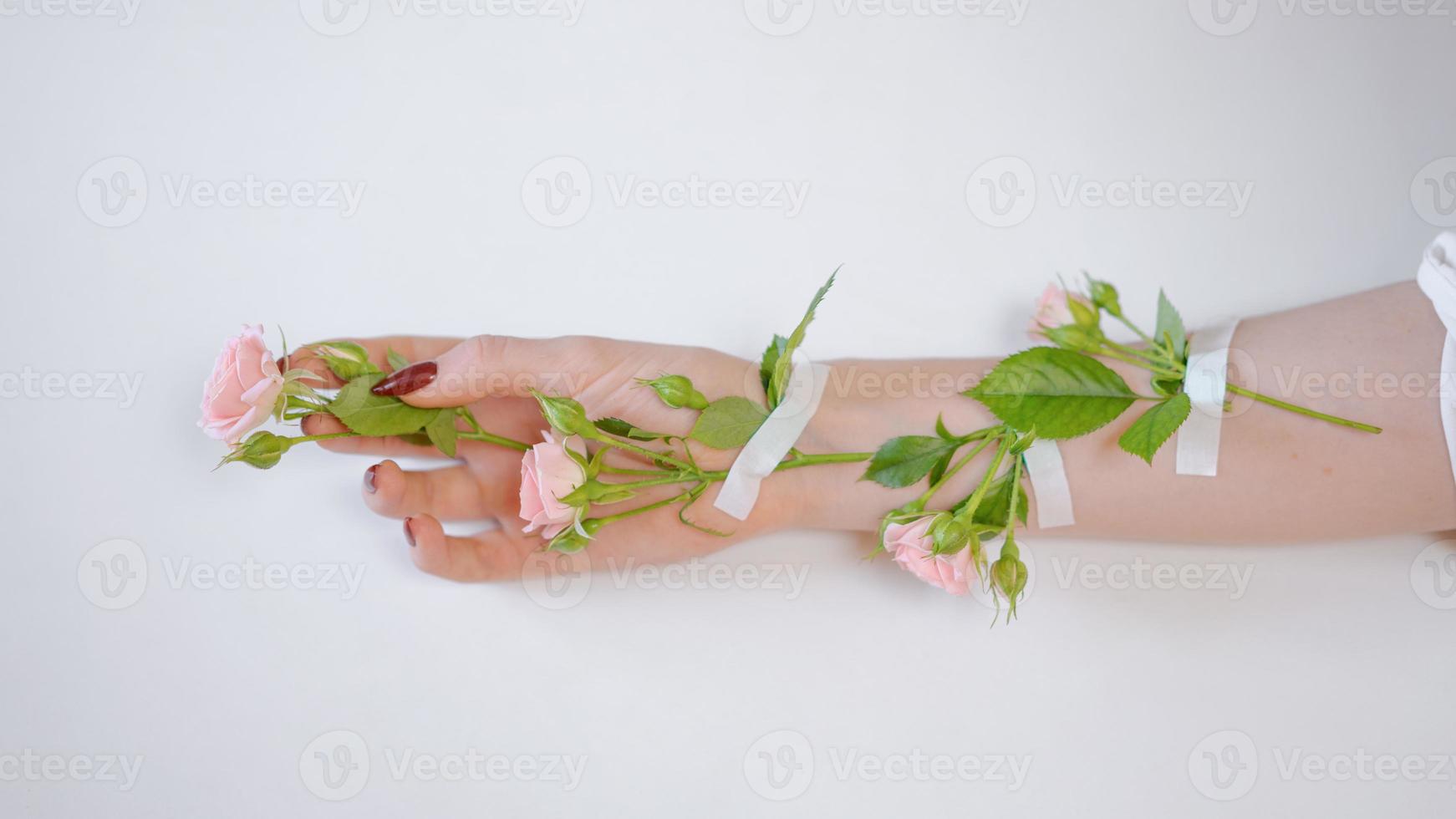 hermosa mano femenina delgada se encuentra con flores de rosa sobre un fondo blanco foto