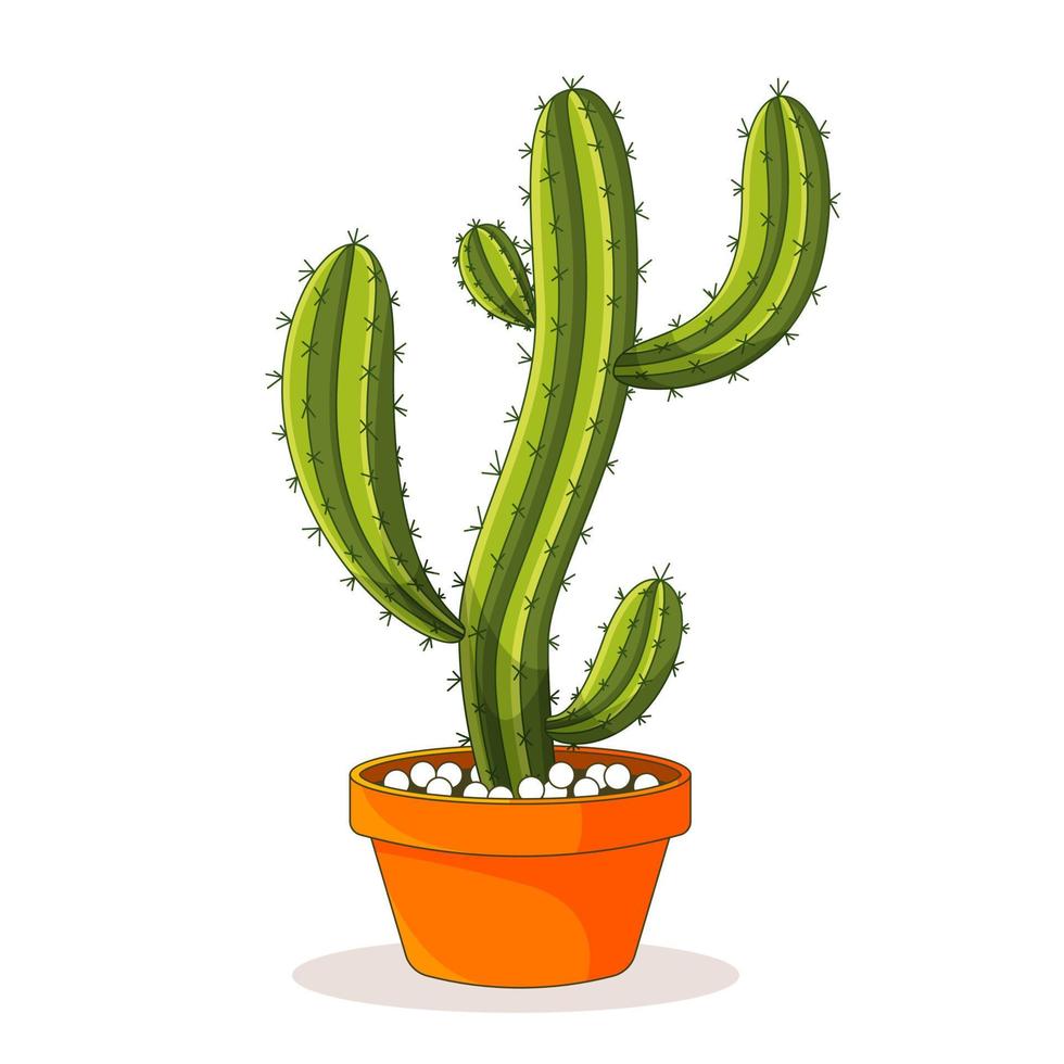 Cactus plant in a flower pot. Vector of Cute green potted cactus and succulents. Potted house plants. Isolated on white background.