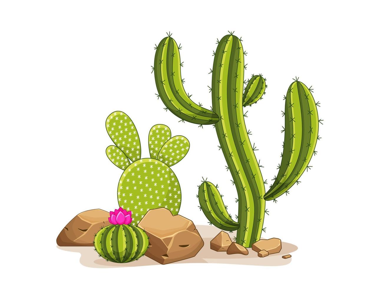 cactus con espinas y piedras. planta verde mexicana con espinas y rocas.  elemento del paisaje del desierto y del sur. ilustración vectorial plana de  dibujos animados. aislado sobre fondo blanco. 6059428 Vector