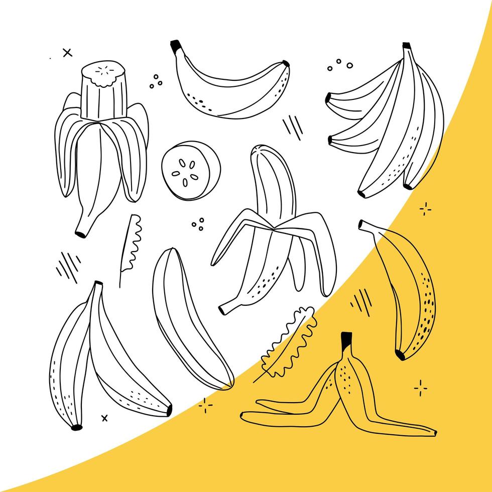 Vector Set of Line-Art Bananas. Overripe Banana, Single Banana , Peeled Banana, Bunch of Bananas. Hand drawn isolated icons.