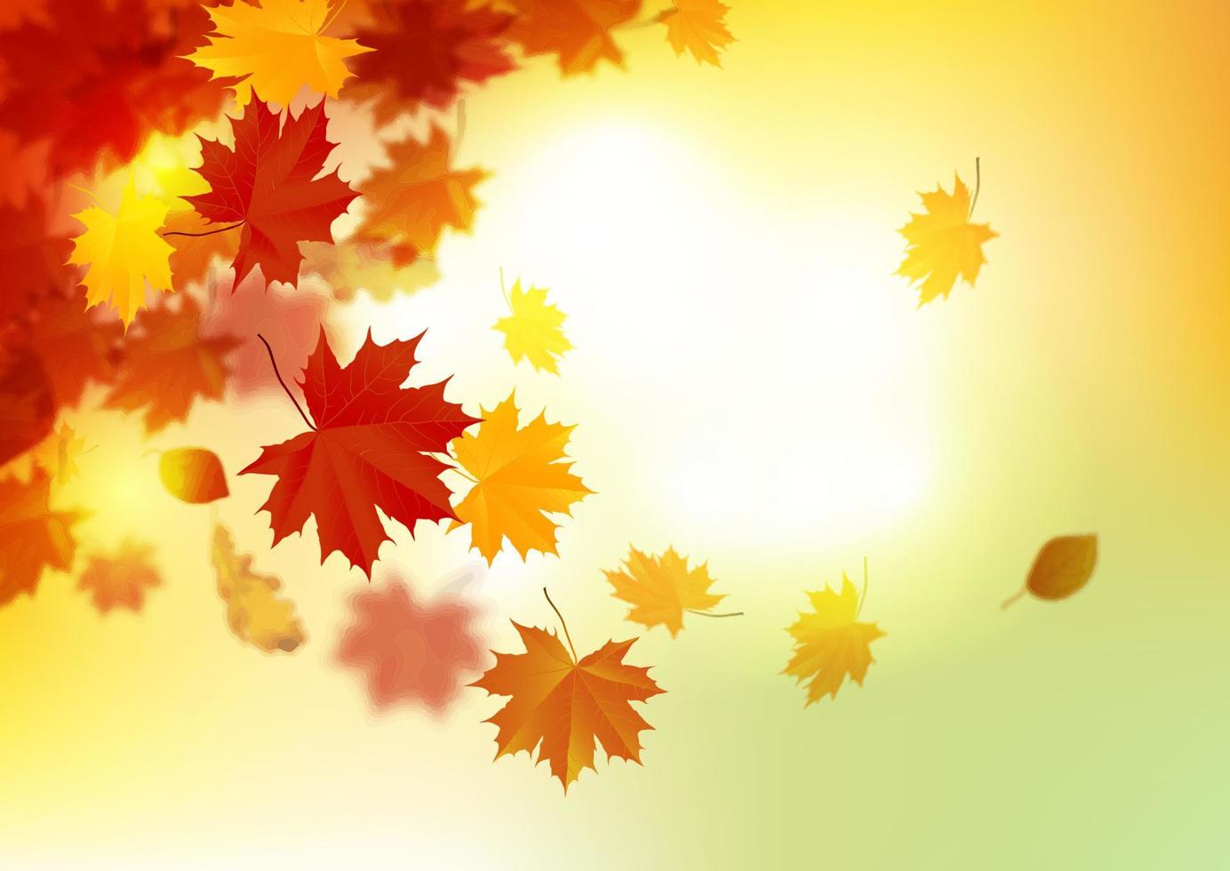 Autumn leaves background vector