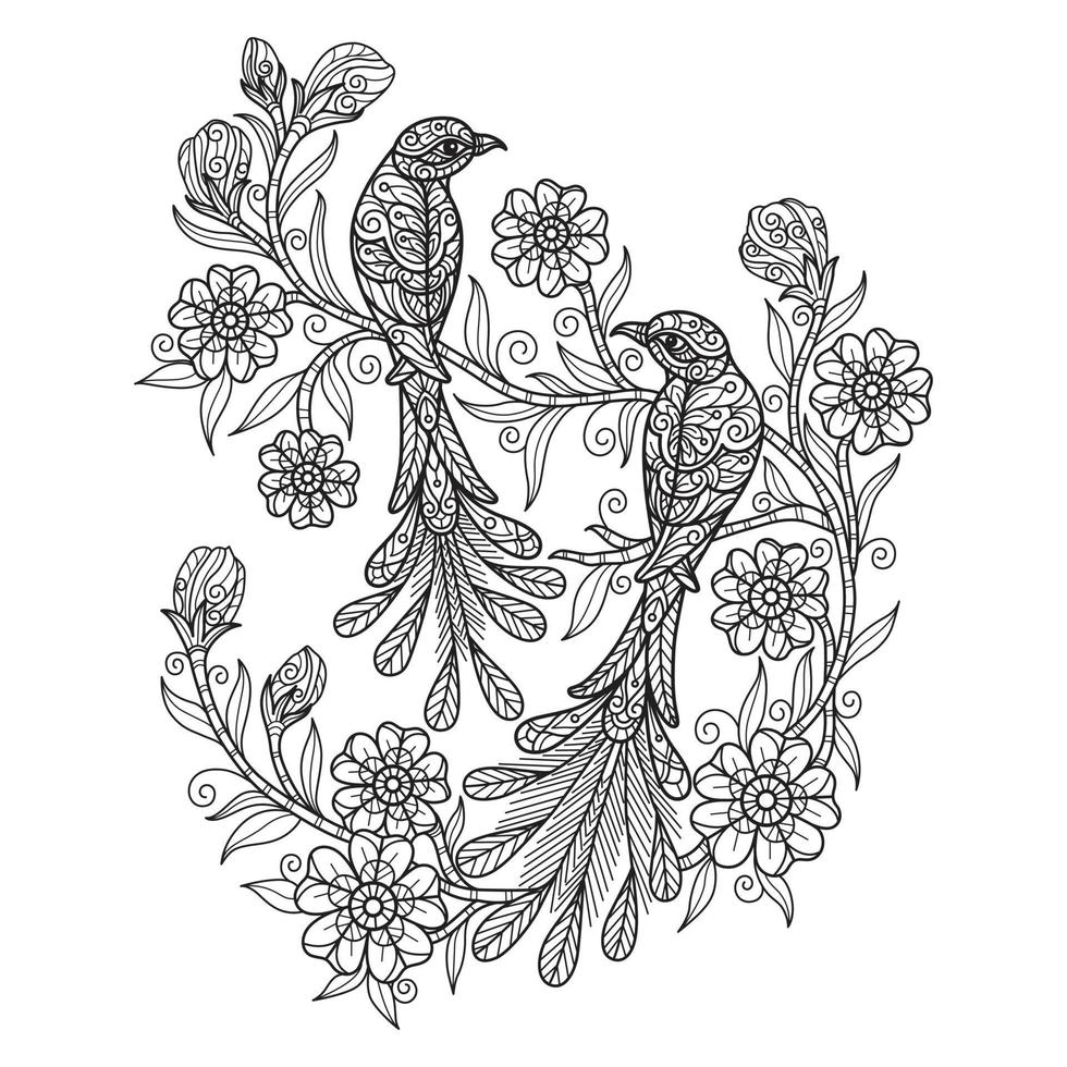 Beautiful birds hand drawn for adult coloring book vector