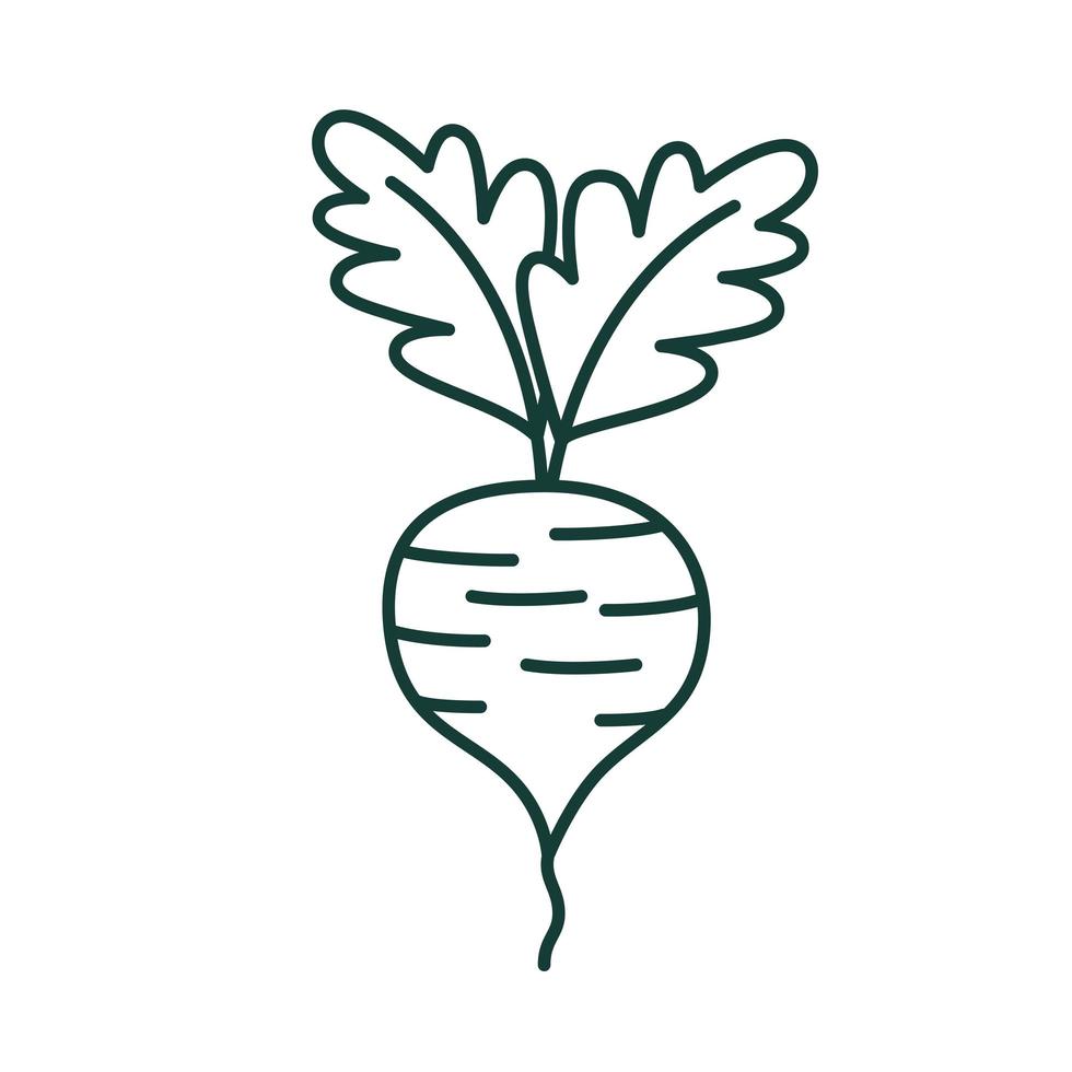 icono de vegetales de rábano vector
