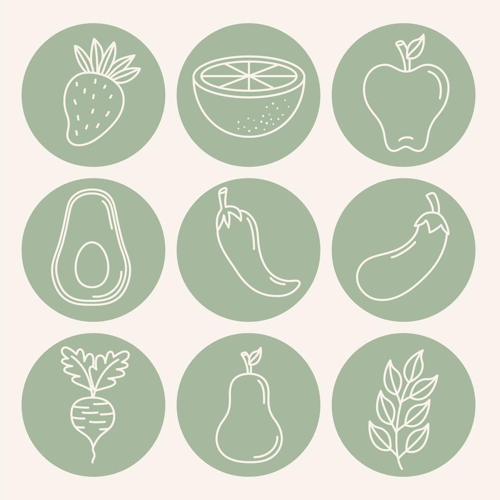 healthy food icons vector