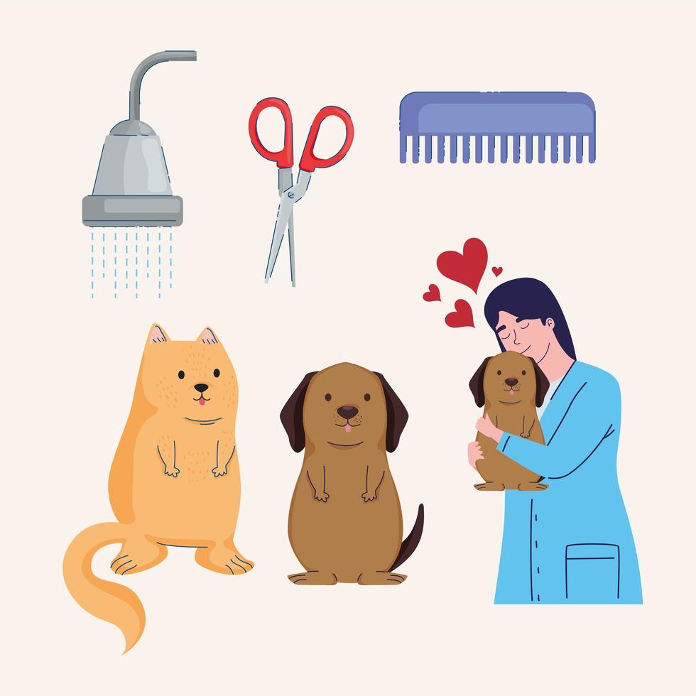 veterinarian and grooming icons vector