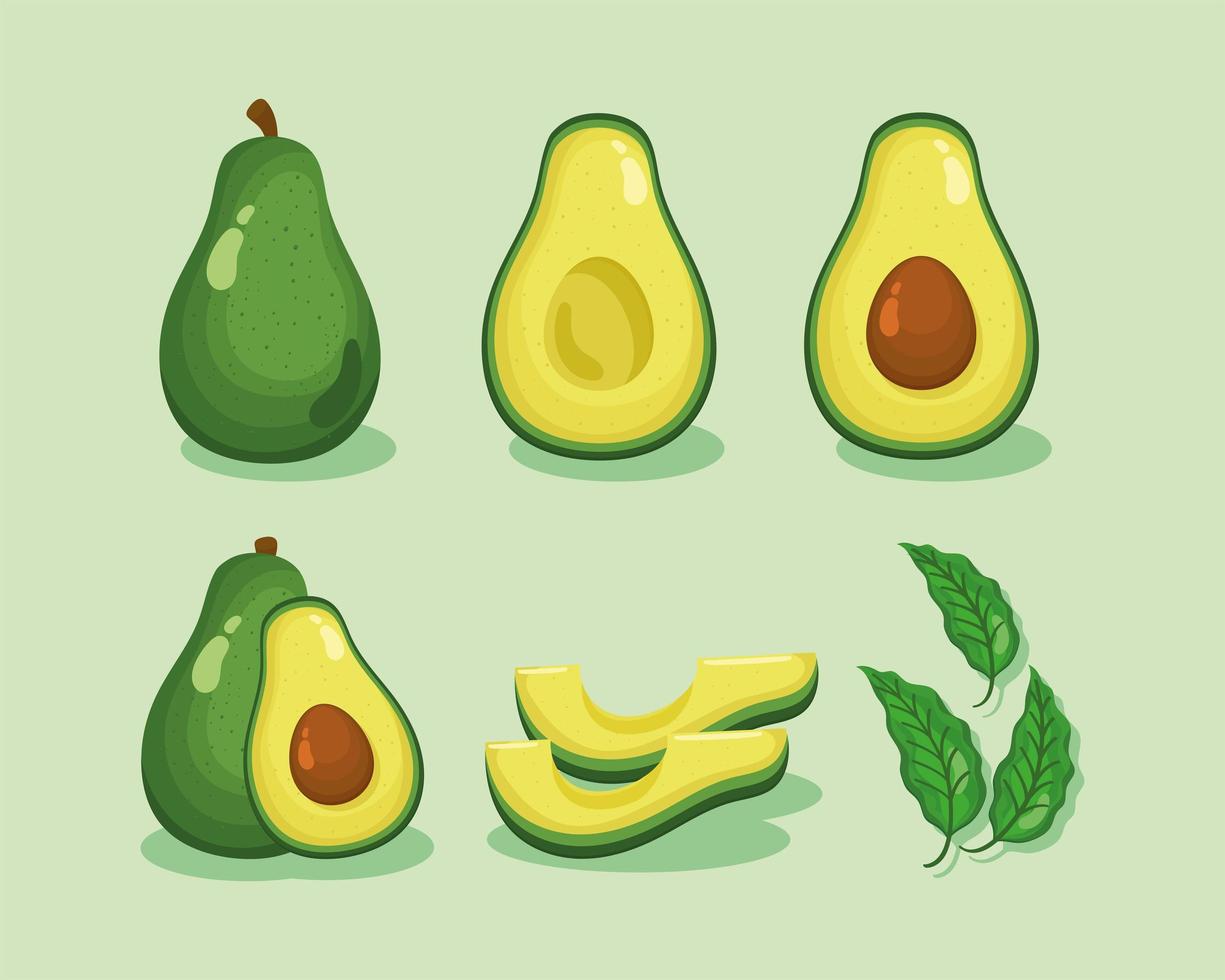 fresh avocados vegetables icons vector