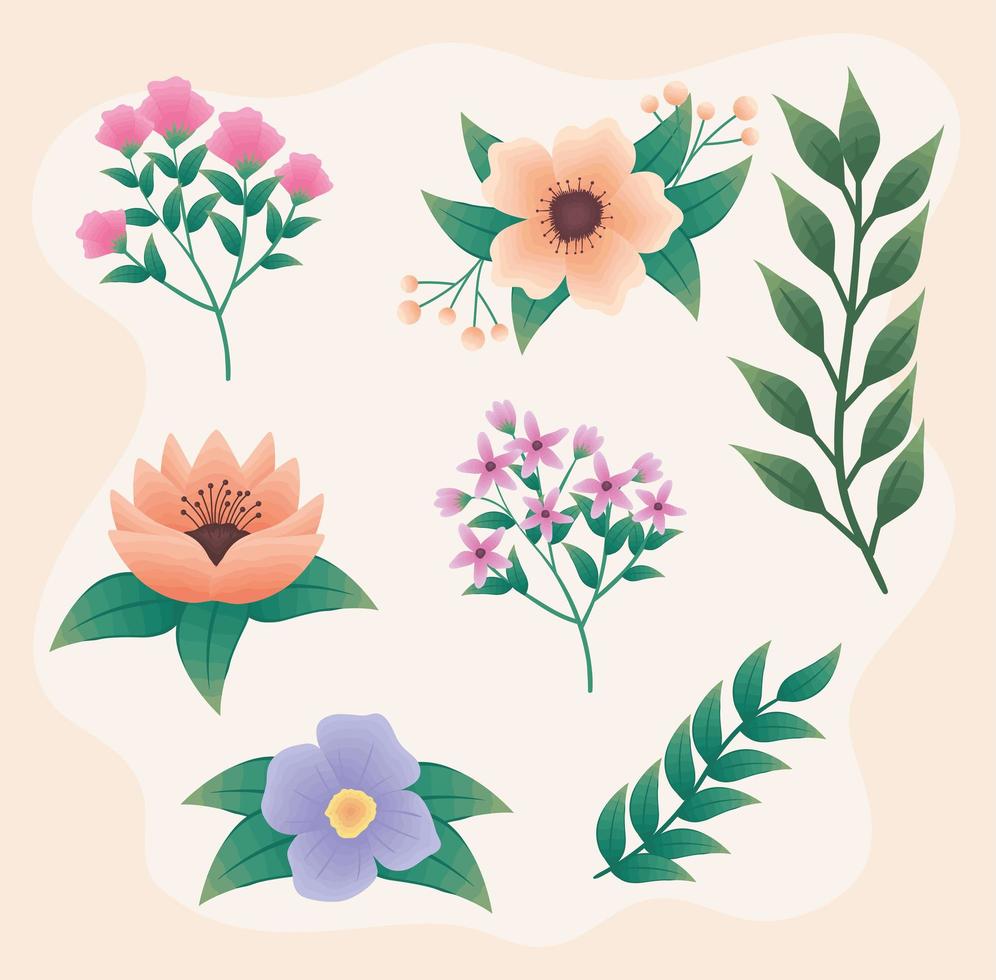 collection of flowers and leaves vector