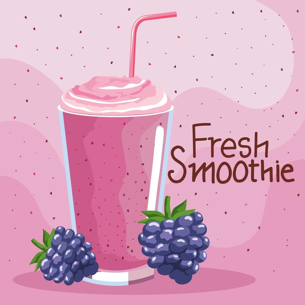 fresh blackberry smoothie vector