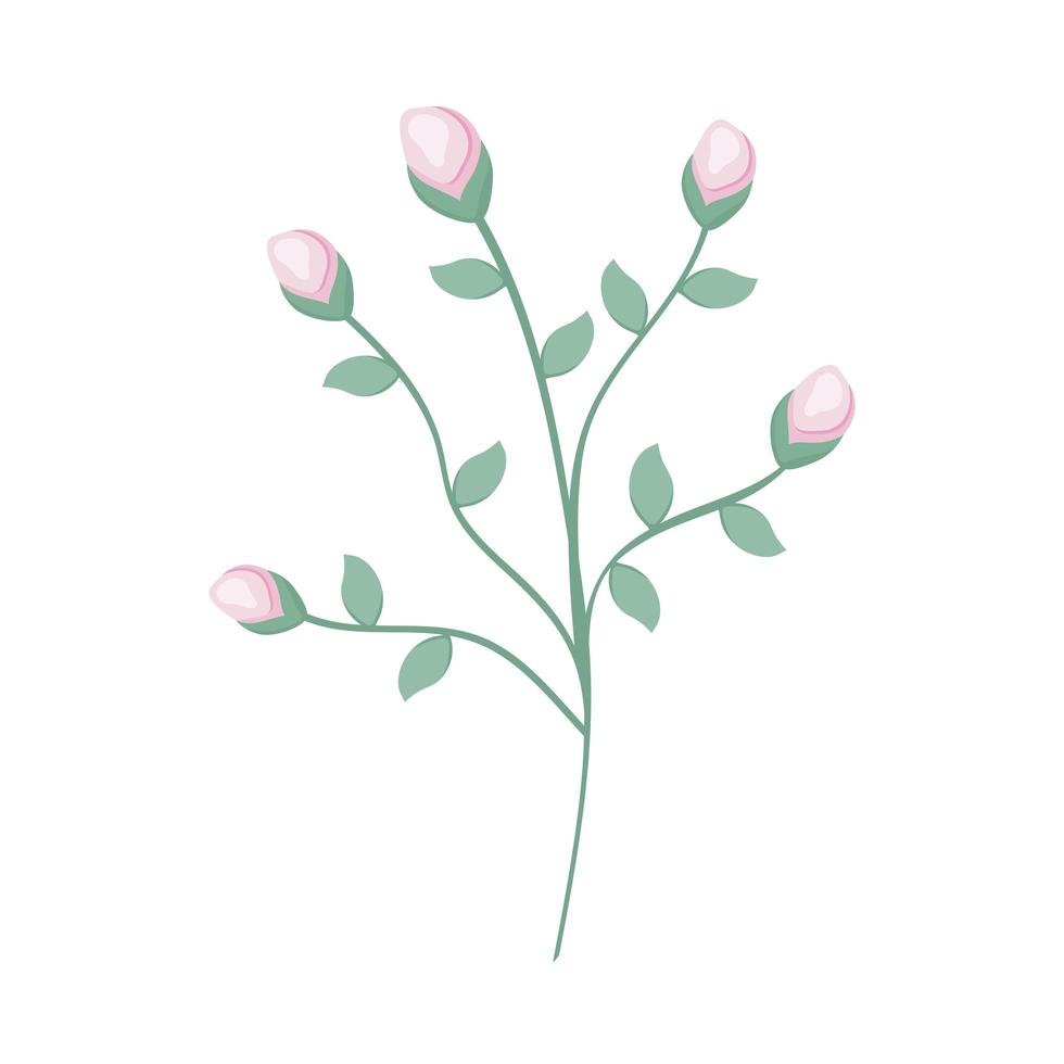 beautiful flowers plant vector