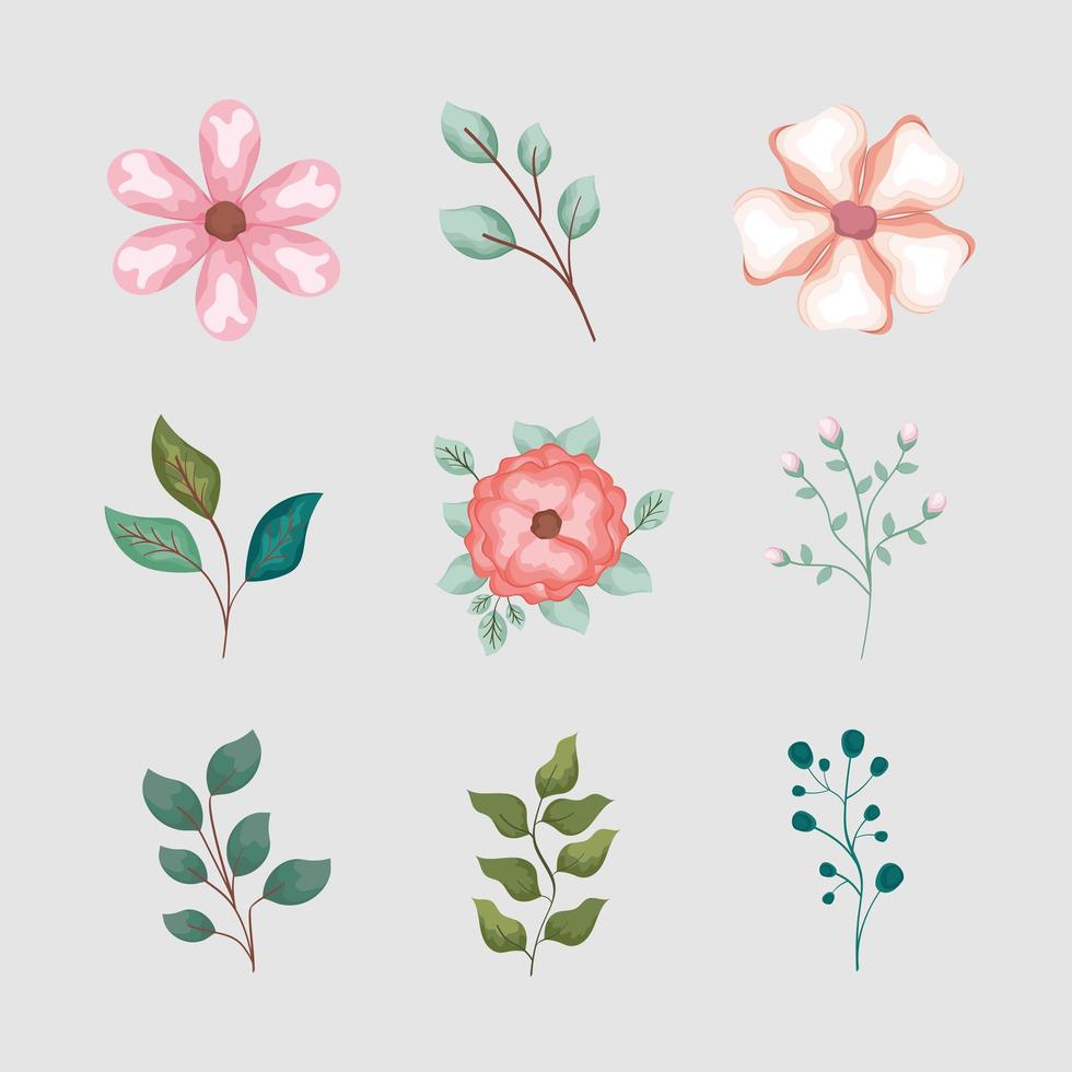 nine floral decoration icons vector