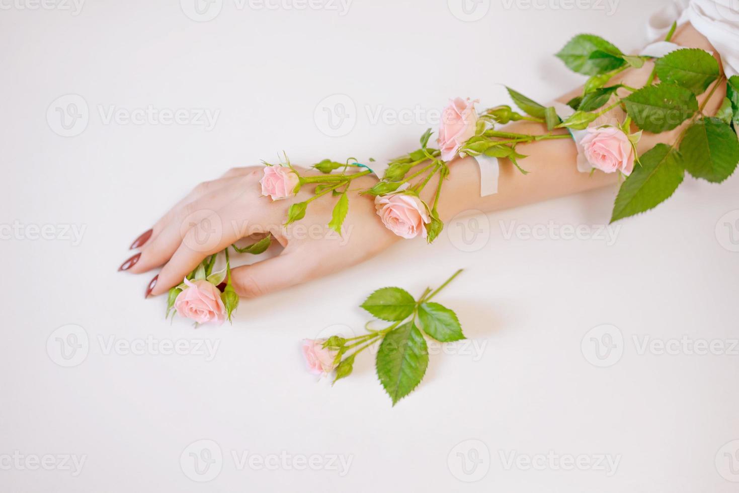 hermosa mano femenina delgada se encuentra con flores de rosa sobre un fondo blanco. foto