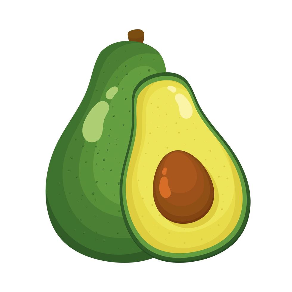 aguacate fresco y rebanada vector