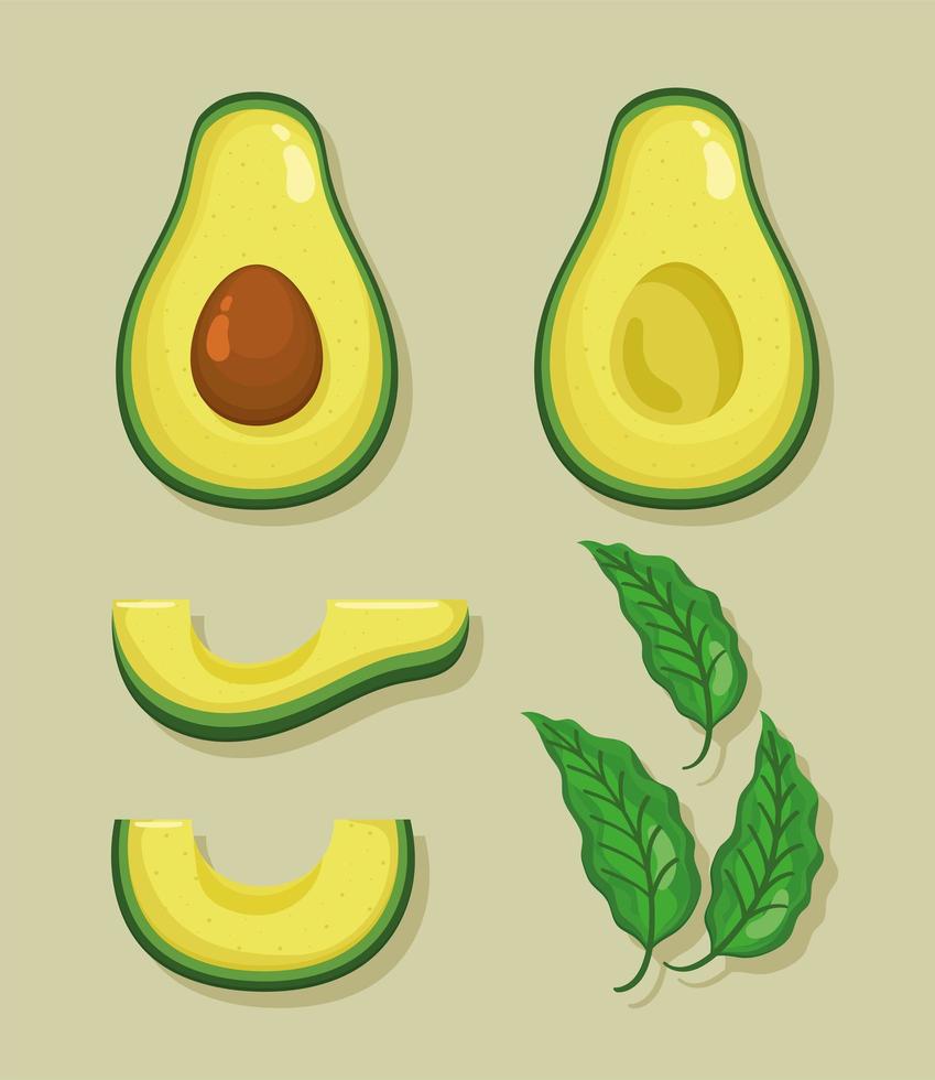 aguacates verduras cinco iconos vector