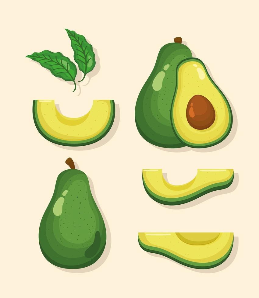 Seis iconos de verduras aguacates vector