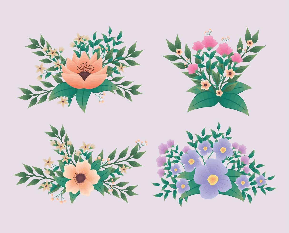 flowers of colors with leaves vector