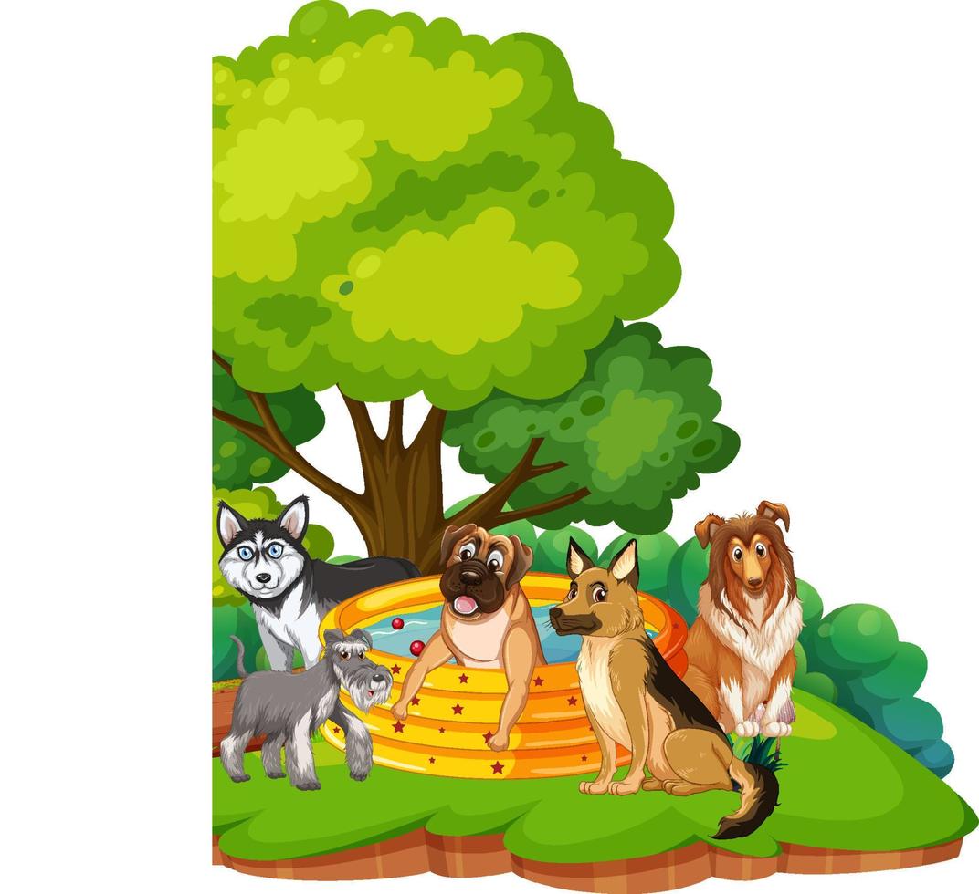 Many dogs bathing in the garden vector