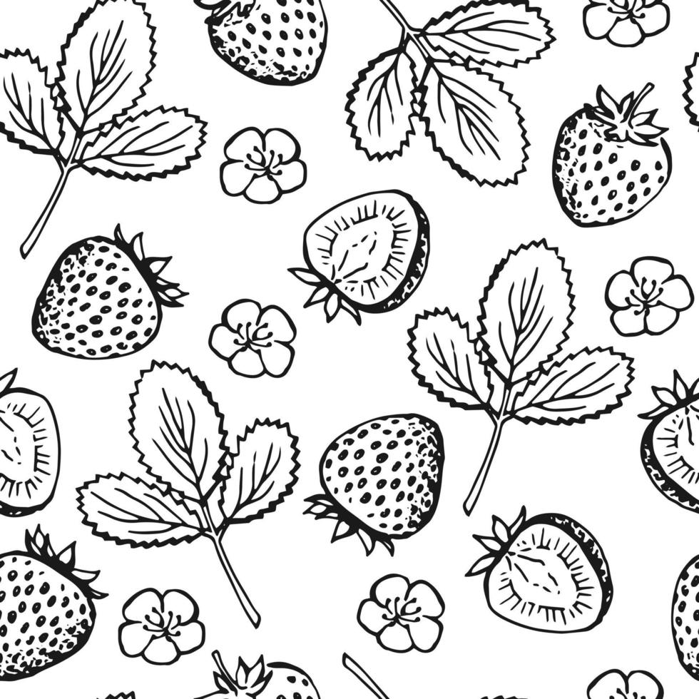 Seamless pattern with strawberry. Hand drawn illustration converted to