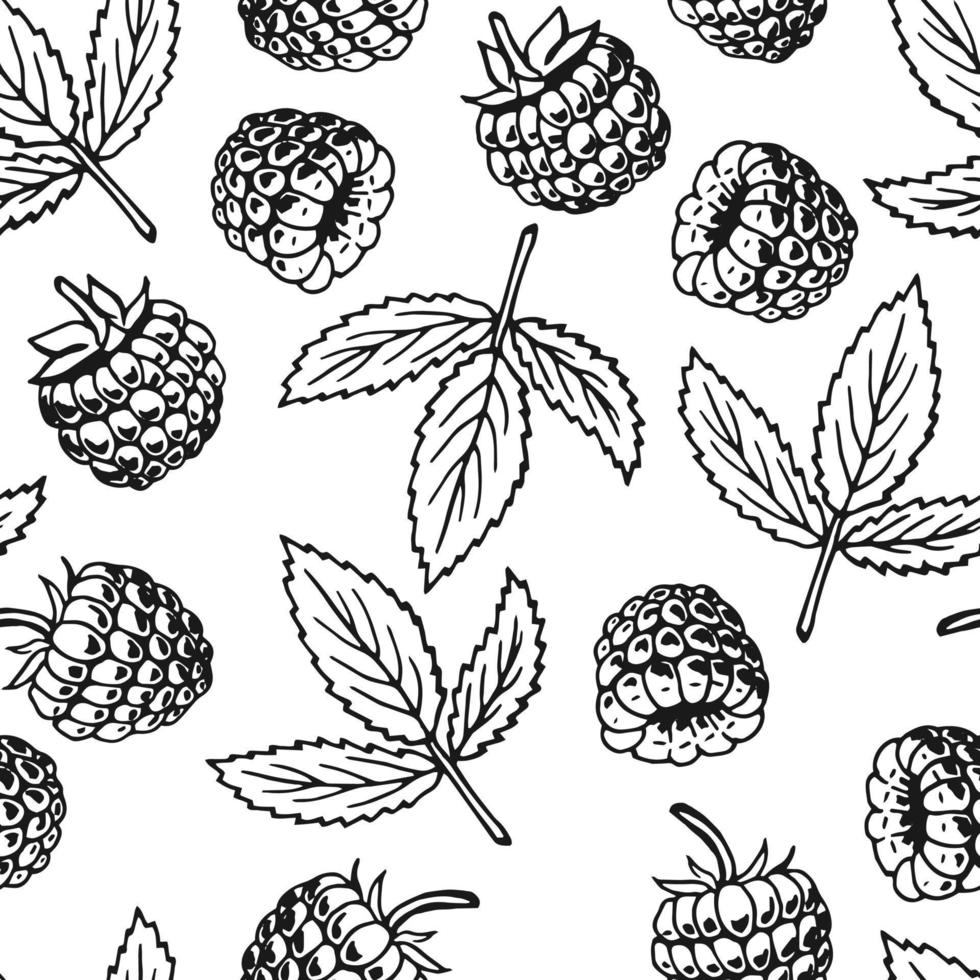 Seamless pattern with raspberry. Hand drawn illustration converted to vector. vector