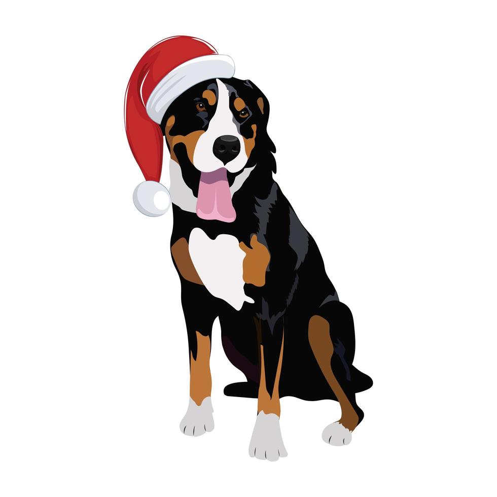 Swiss Mountain dog with Christmas hat isolated on white background. vector