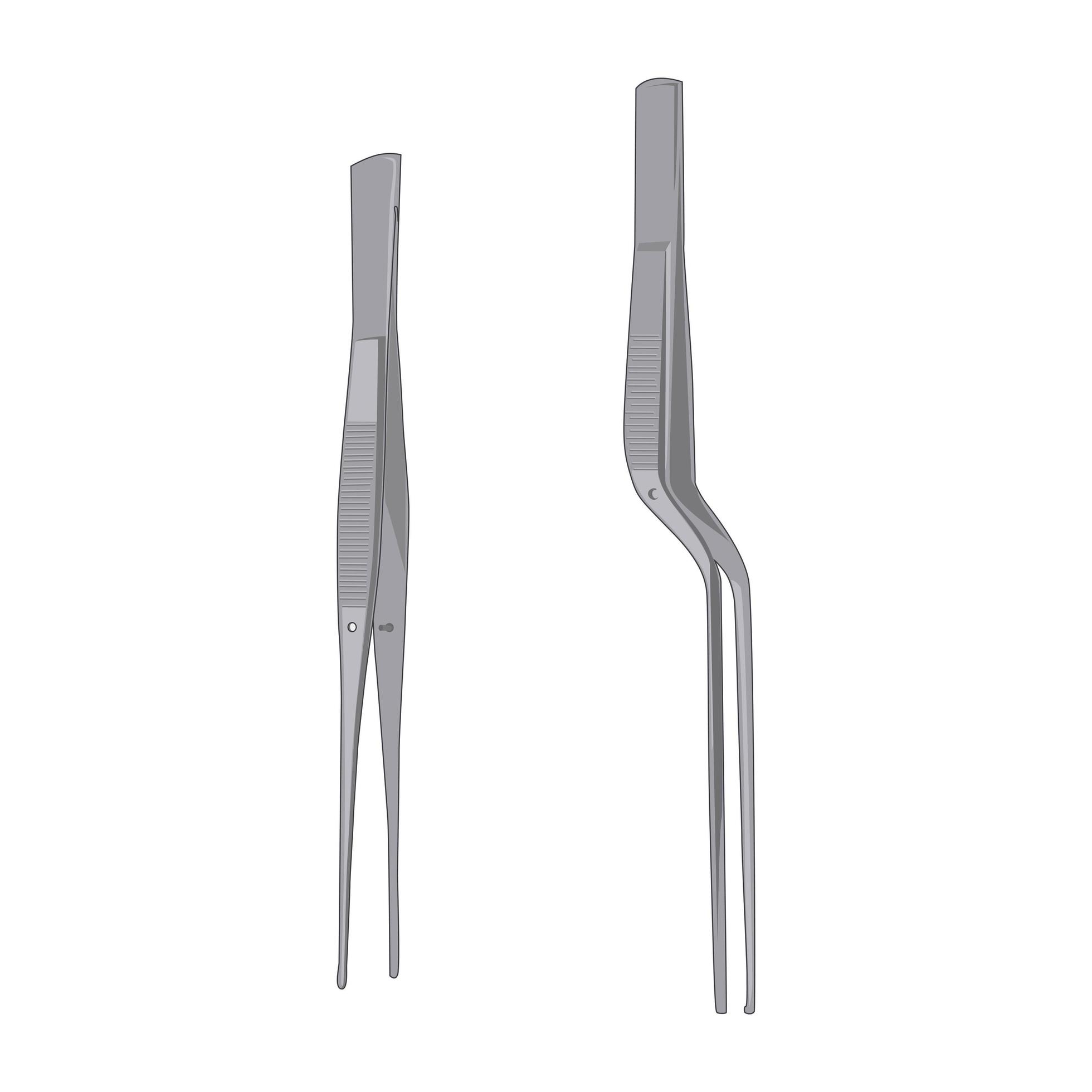 Surgical forceps isolated on white background. 6063482 Vector Art at