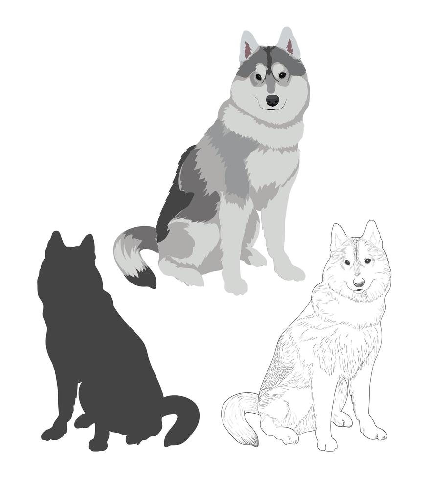 perro husky en tres estilos diferentes. vector