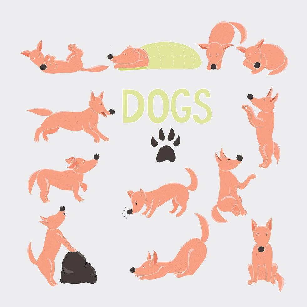 Orange cartoon dog character set. vector