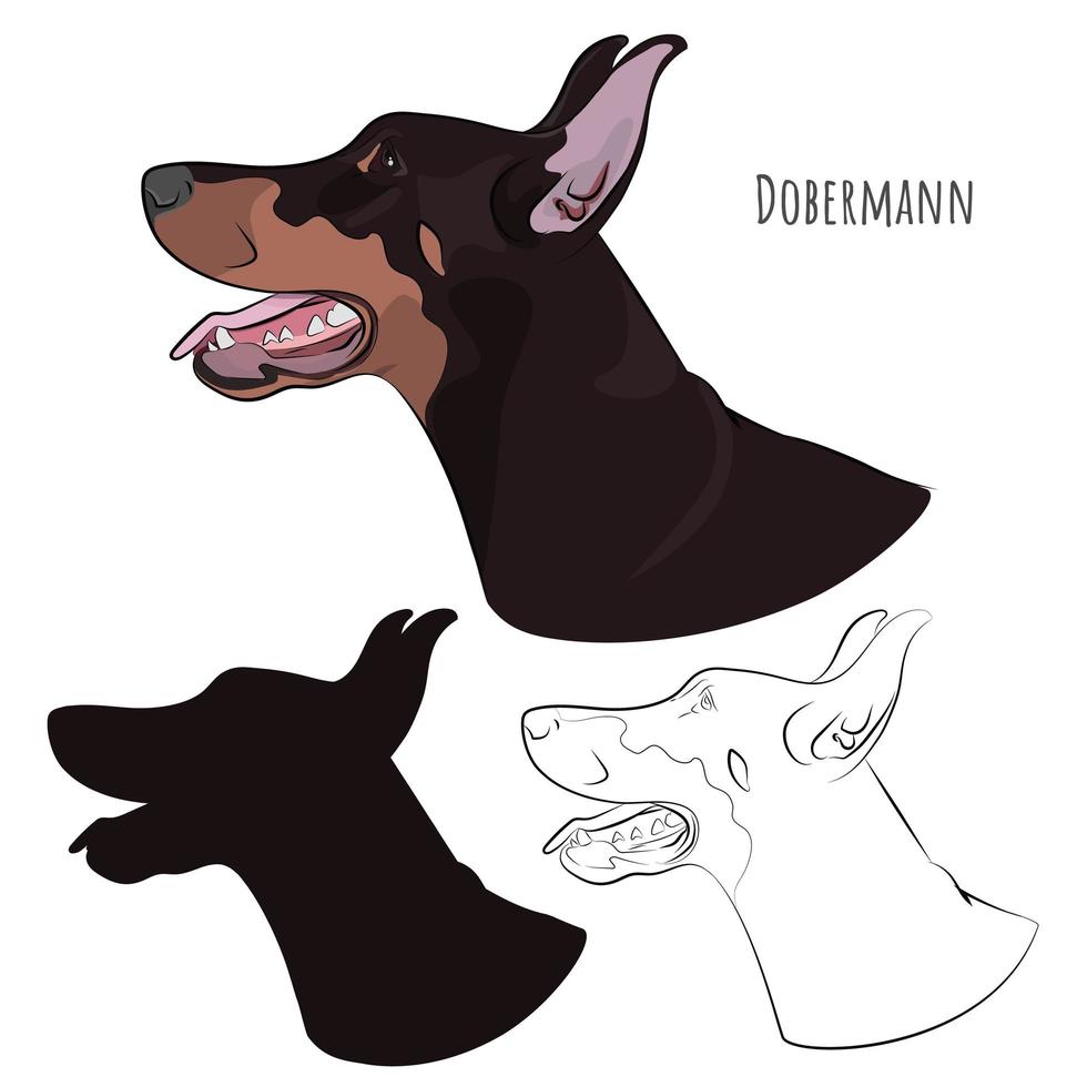 Dobermann panting with tongue out. Watchdog profile for your design. vector