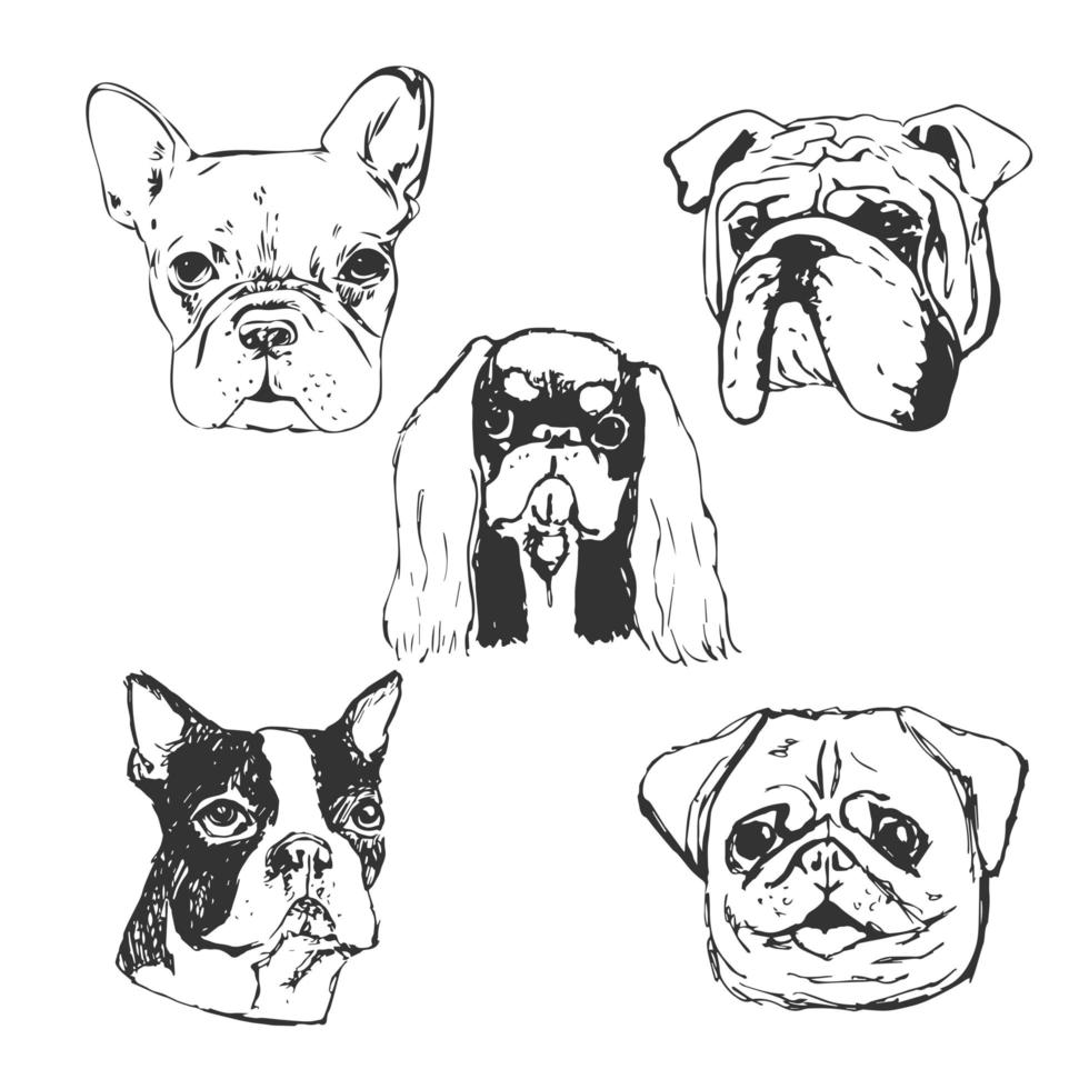 Dog vector illustration. Hand drawn dog portraits.