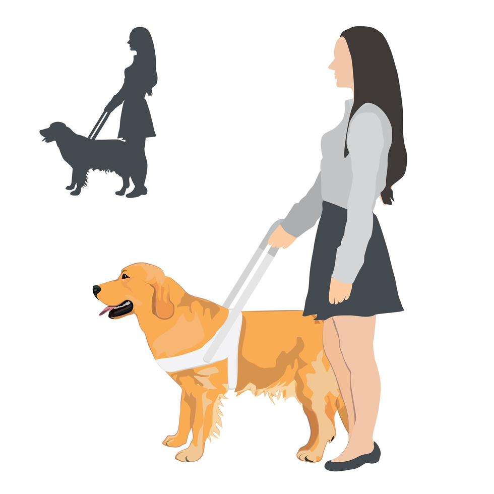 perro de asistencia con arnés blanco. golden retriever y mujer ciega sobre fondo blanco. vector