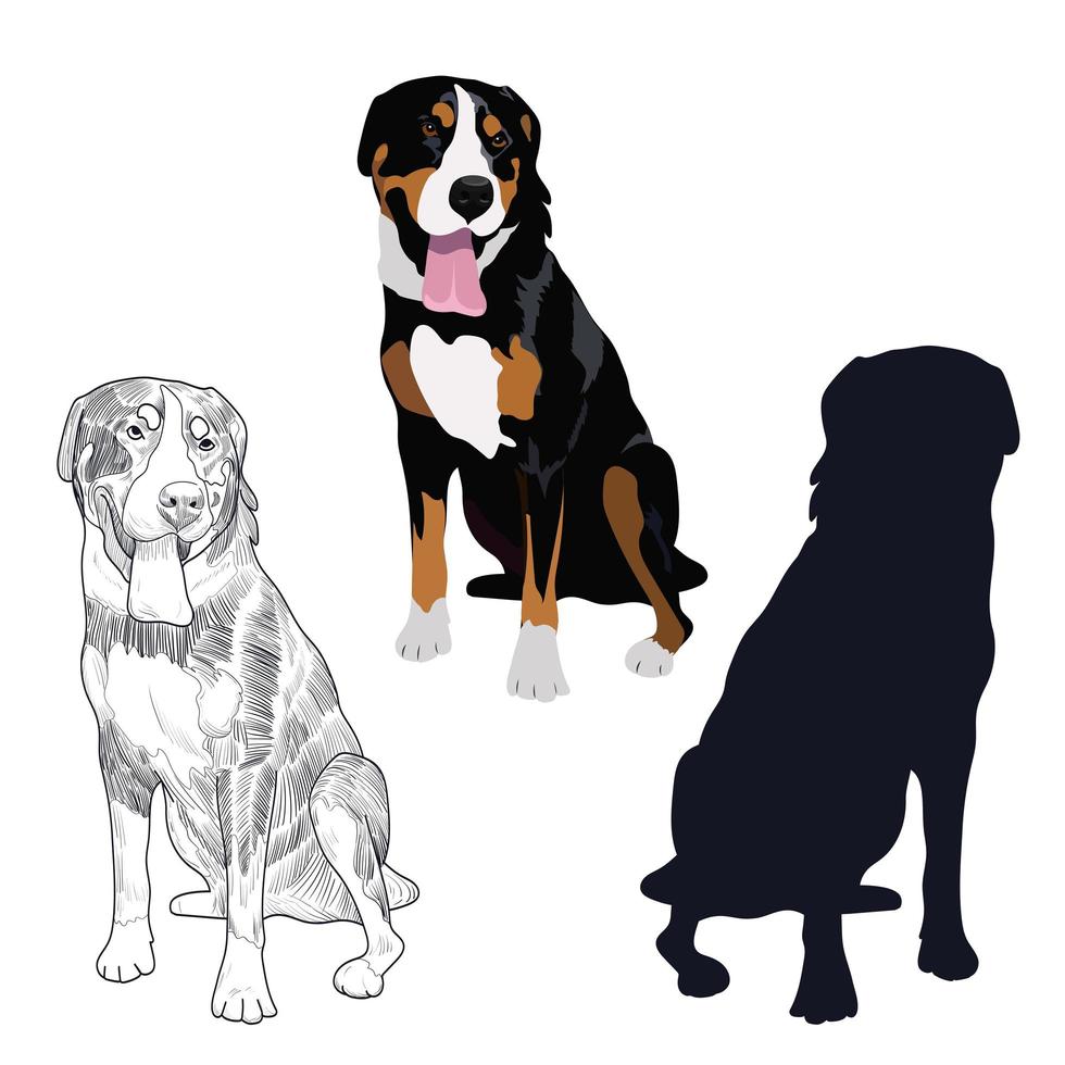 Swiss mountain dog in three different styles. vector