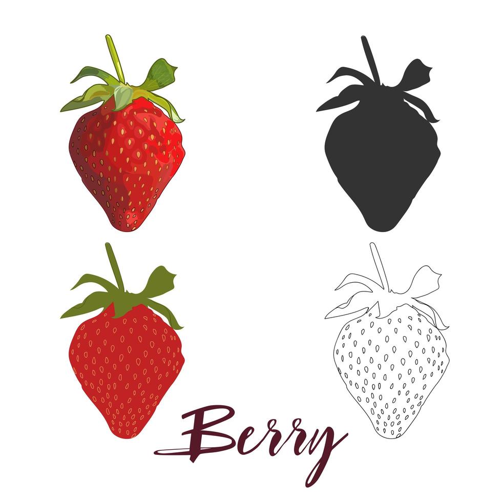 fresas jugosas aisladas sobre fondo blanco. vector