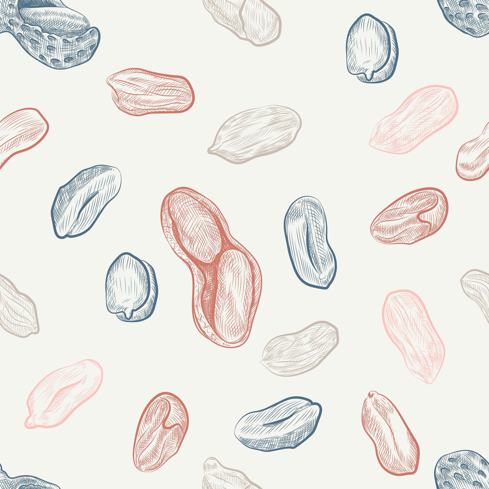 Peanut seamless pattern. 6063694 Vector Art at Vecteezy