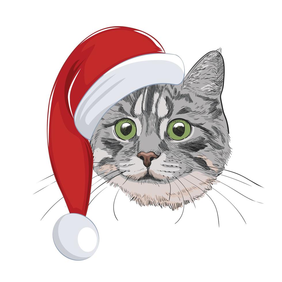 Cat with Christmas hat isolated on white background. Cute cat face wearing Santa hat. vector