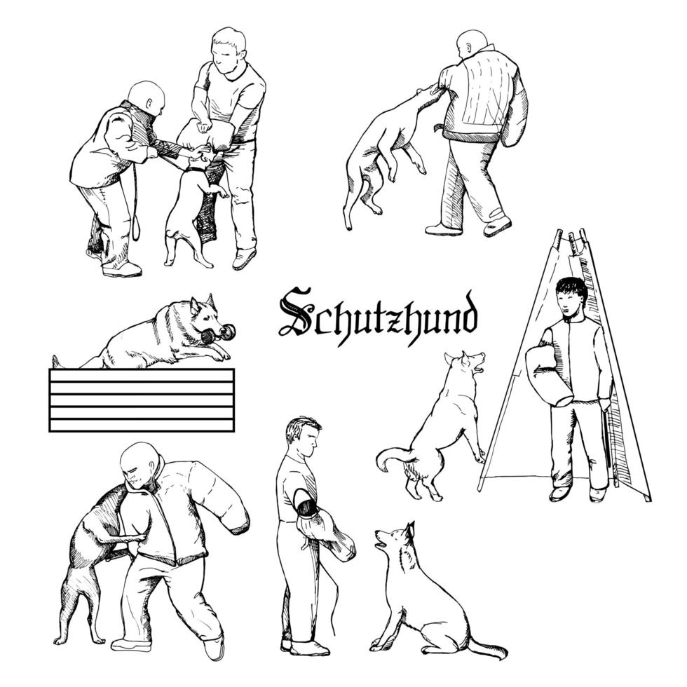 Working dog sketches. Schutzhund dog sport training illustration. vector