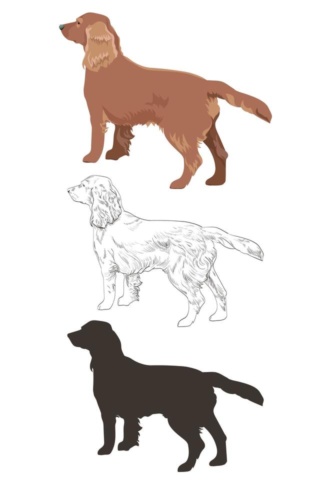 cocker spaniel en tres estilos diferentes aislado sobre fondo blanco. vector