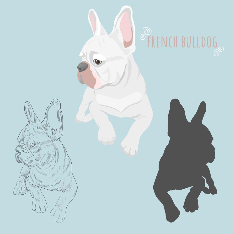 silueta de perro y boceto dibujado a mano de canino de pura raza. vector