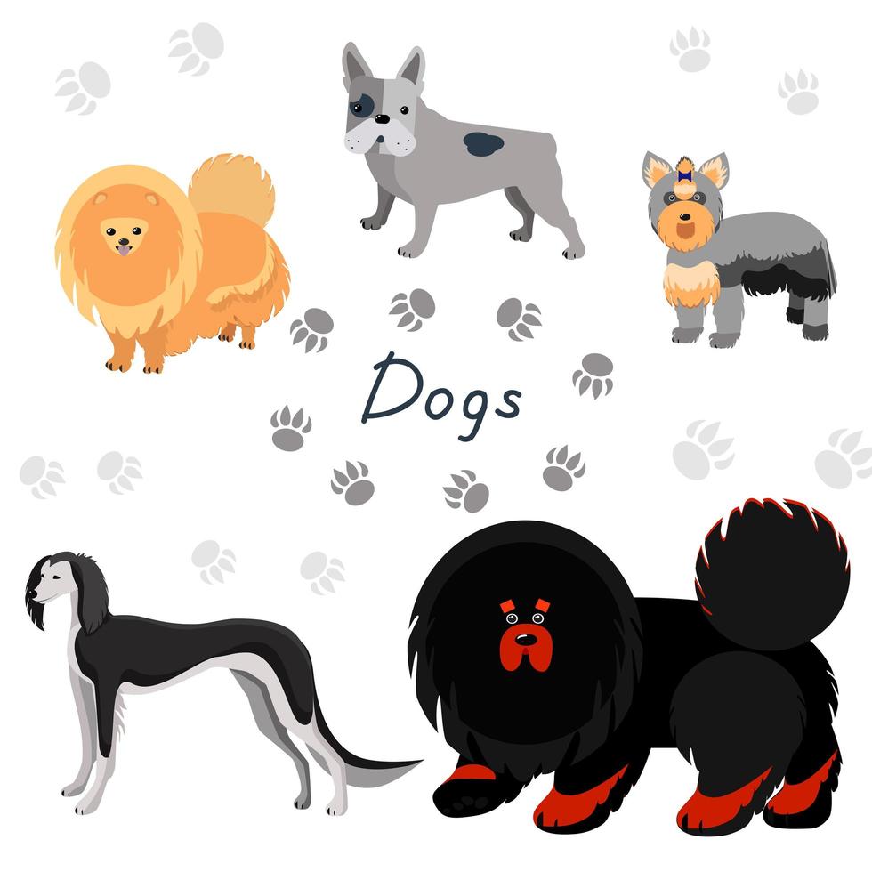 Dogs collection in flat style. vector