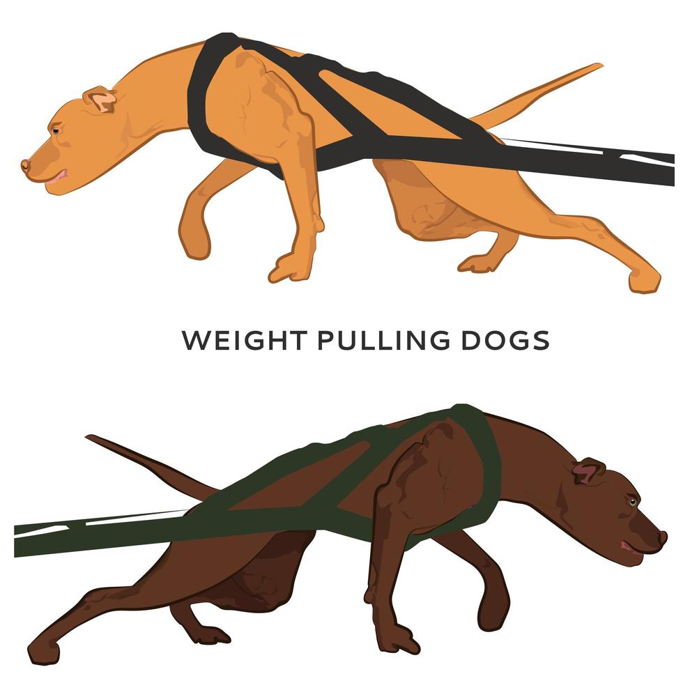 Harnessed dogs pulling hard. vector