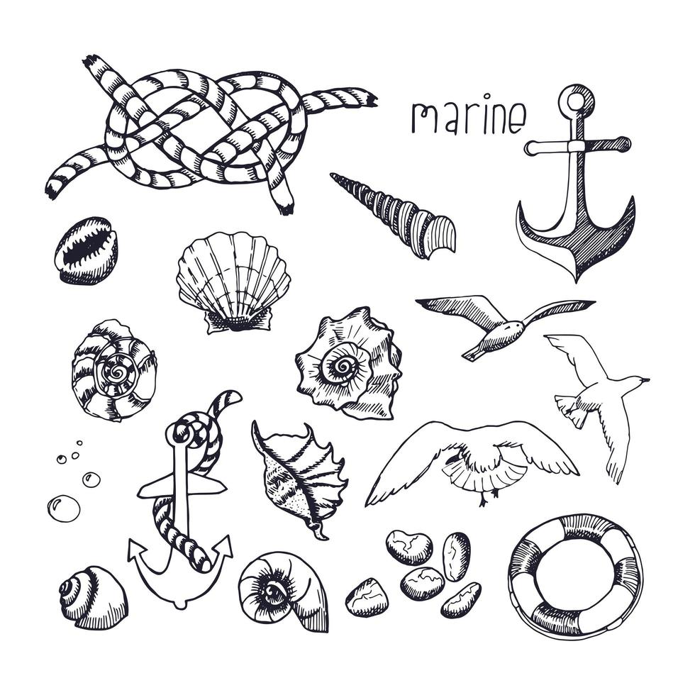 Marine topic hand drawn elements isolated on white background. vector