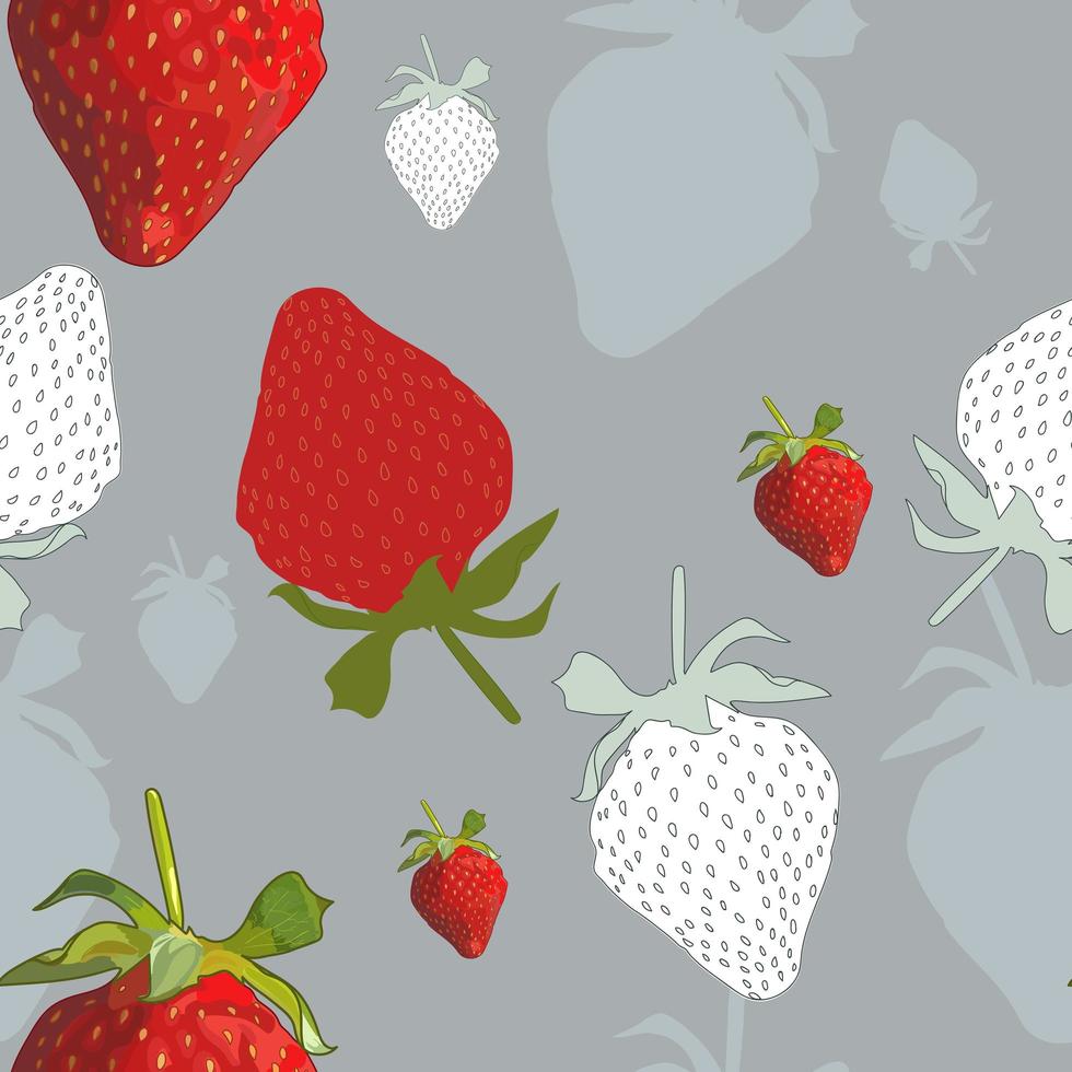 Strawberry seamless pattern. vector
