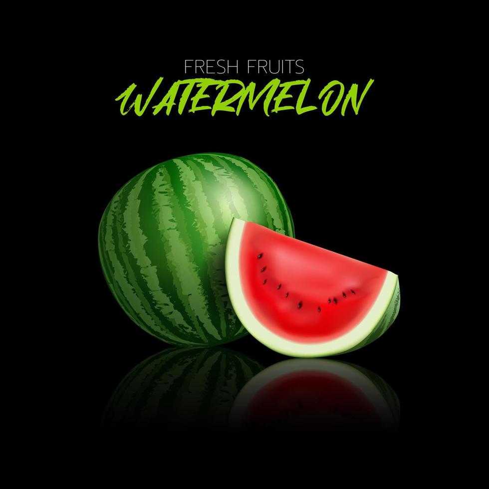 Watermelon on black background with reflections for illustration. vector