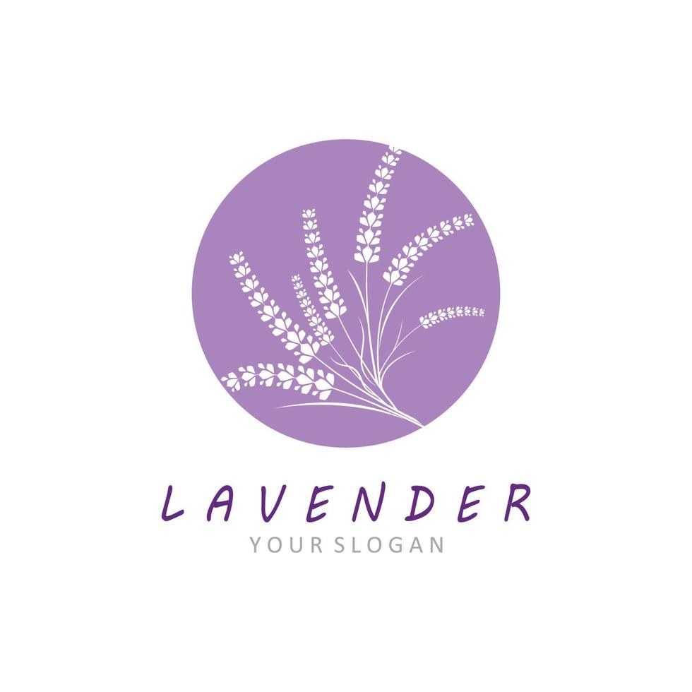 diseño plano de vector de logotipo de flor de lavanda fresca