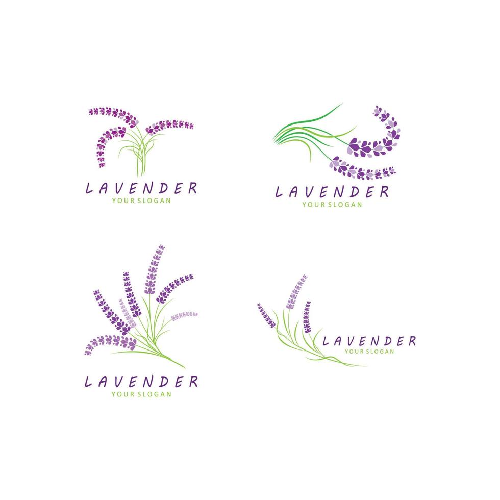 Fresh Lavender flower logo vector flat design