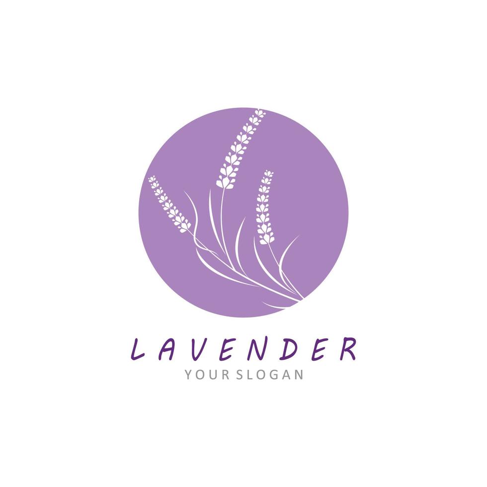 diseño plano de vector de logotipo de flor de lavanda fresca