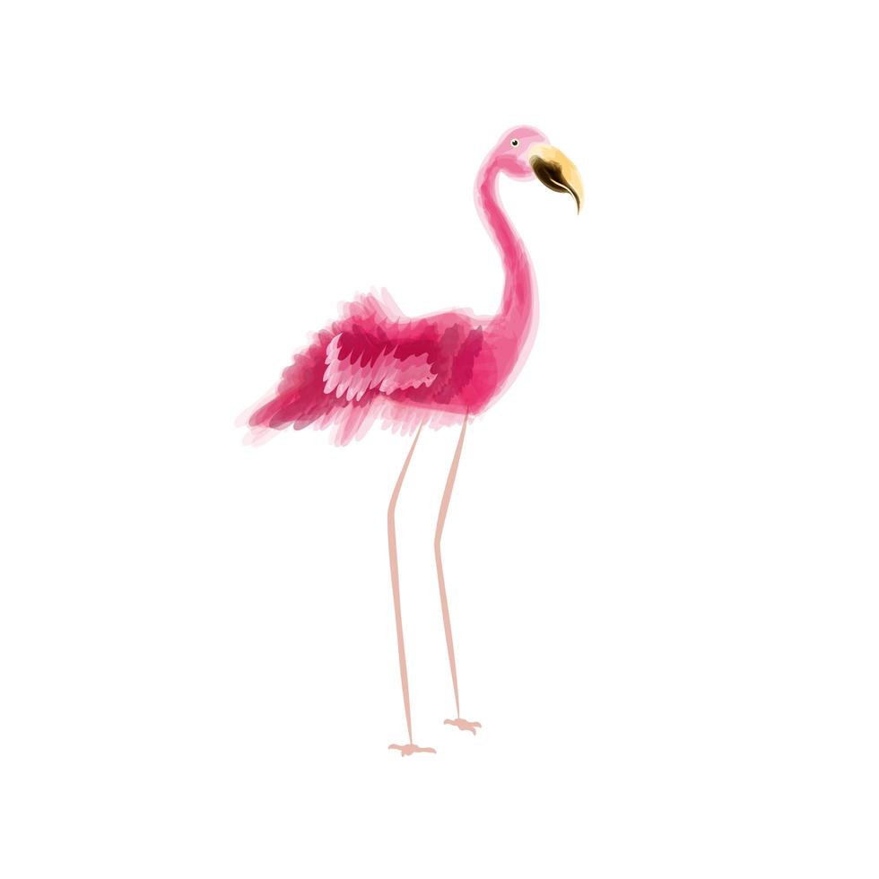 flamingo bird watercolor vector