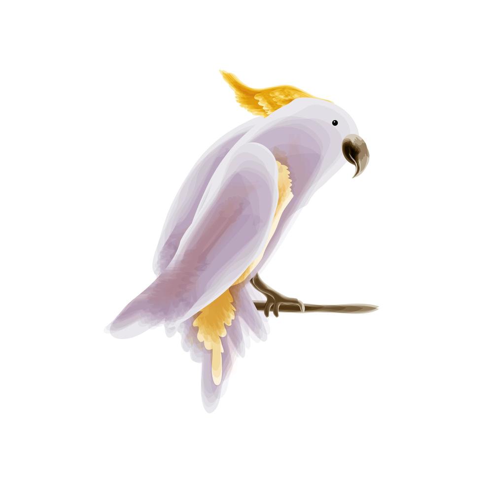 cockatoo bird watercolor vector