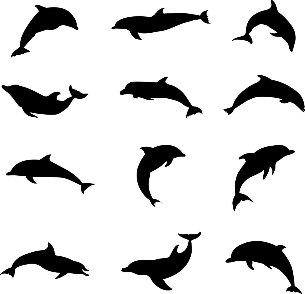 Dolphin silhouette collection vector