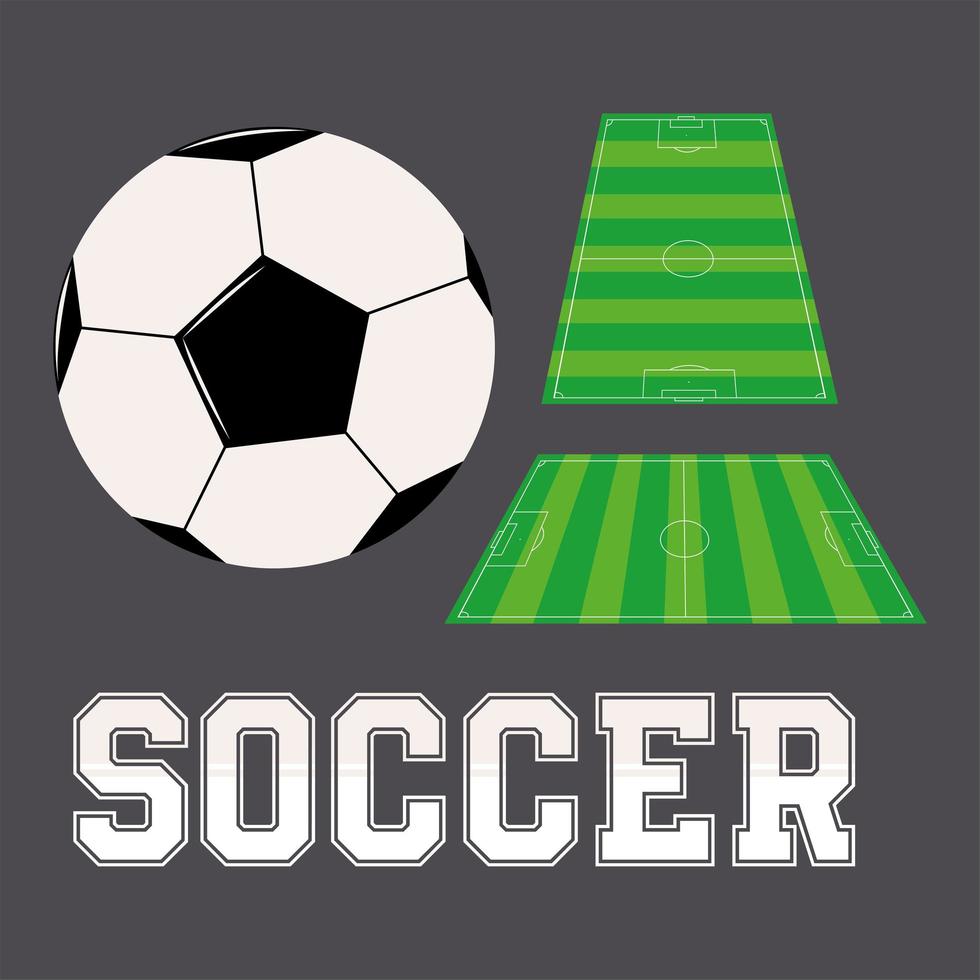 soccer field and ball vector