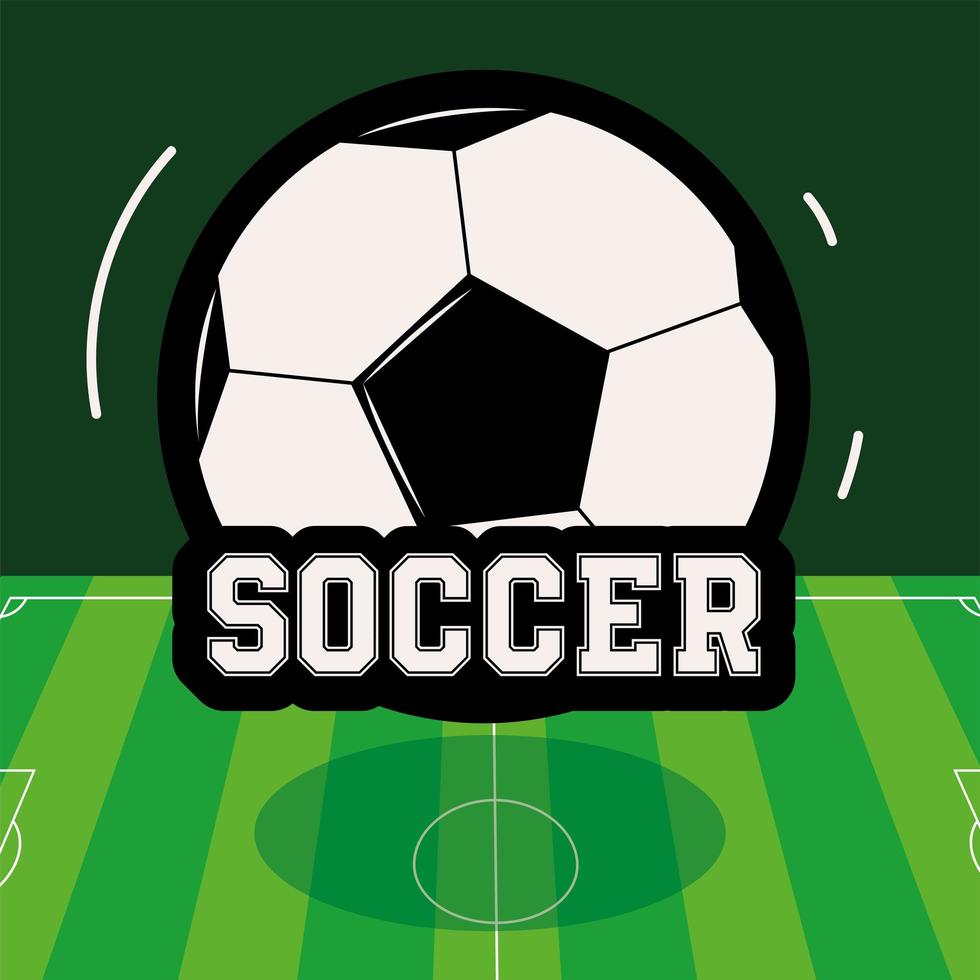 soccer ball and field vector